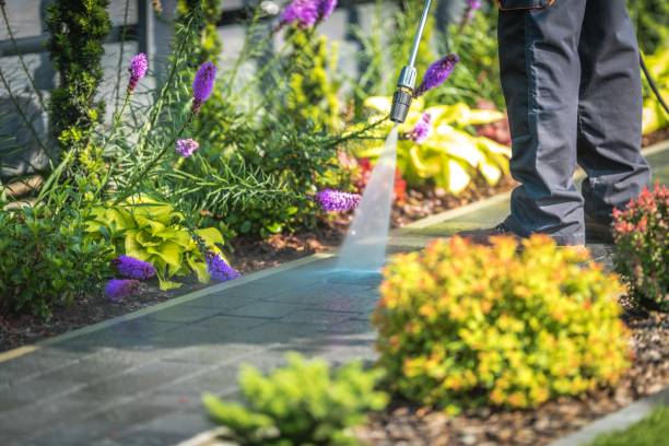 Best Fence Cleaning and Maintenance in Stevensville, MT